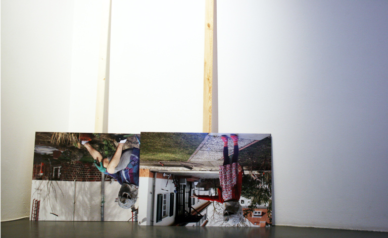 Kerstin Honeit – Pigs in Progress: Installation view